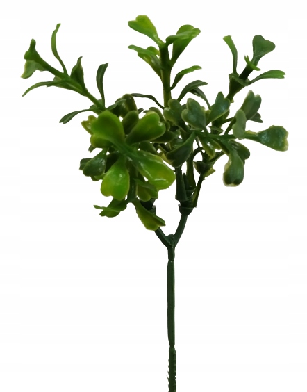 

Gałązka sztuczna Borówka 17 cm Czakos