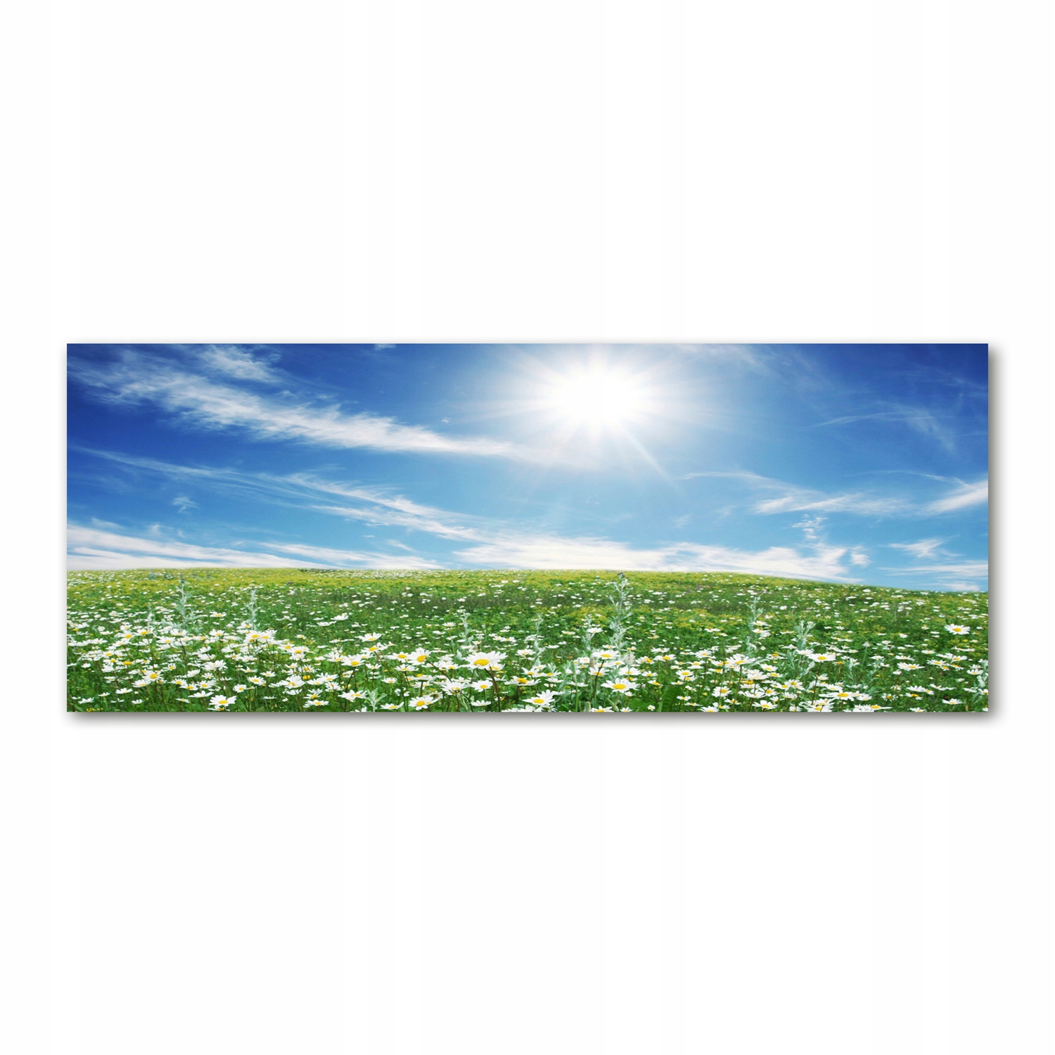 

Foto-obraz akrylowy na ścianę dużyŁąka 125x50 cm