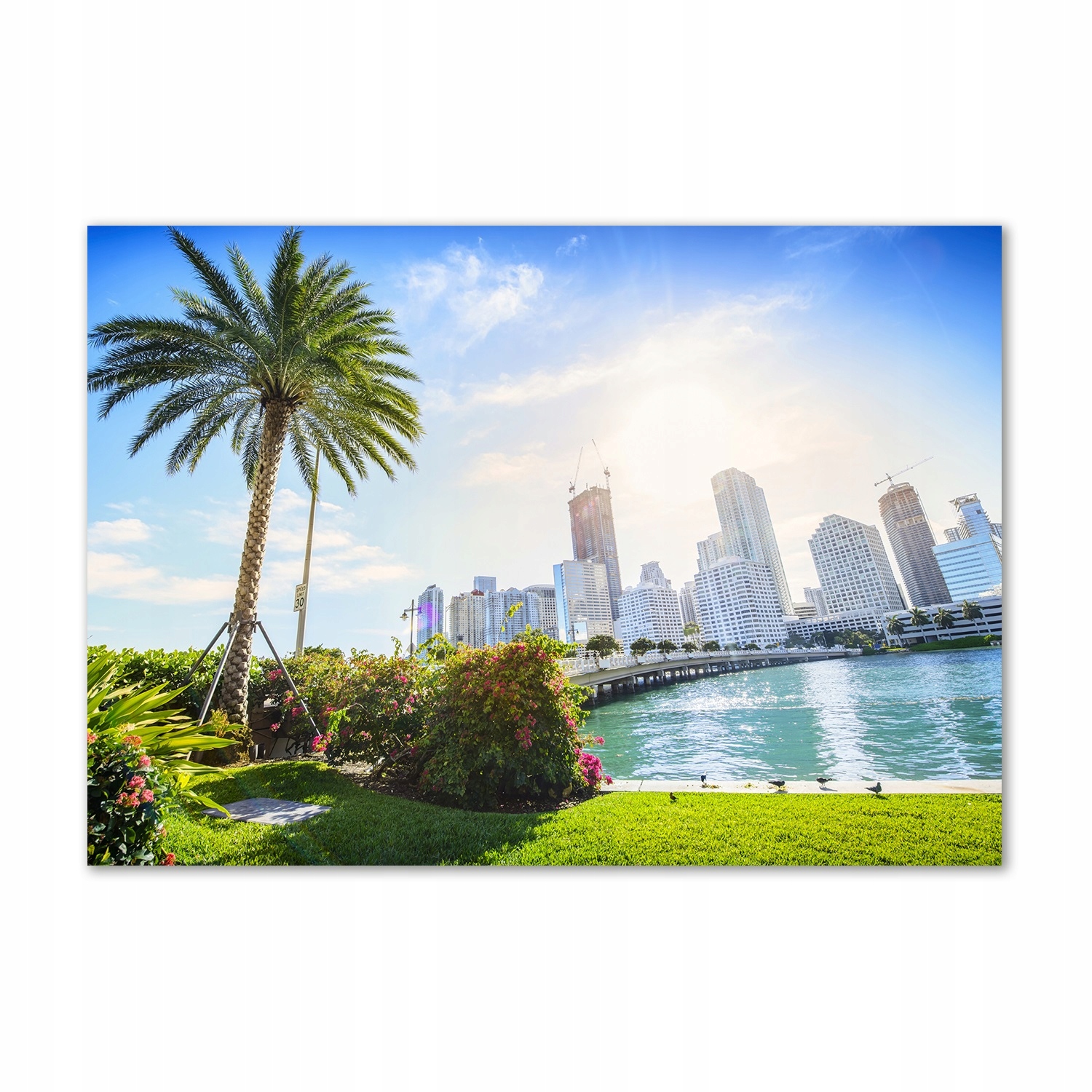 

Foto obraz szkło hartowane Miami Usa 100x70