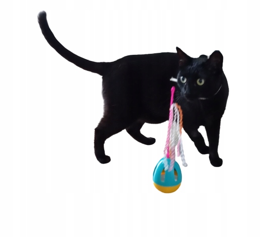 

Zabawka dla kota interaktywna do zabawy