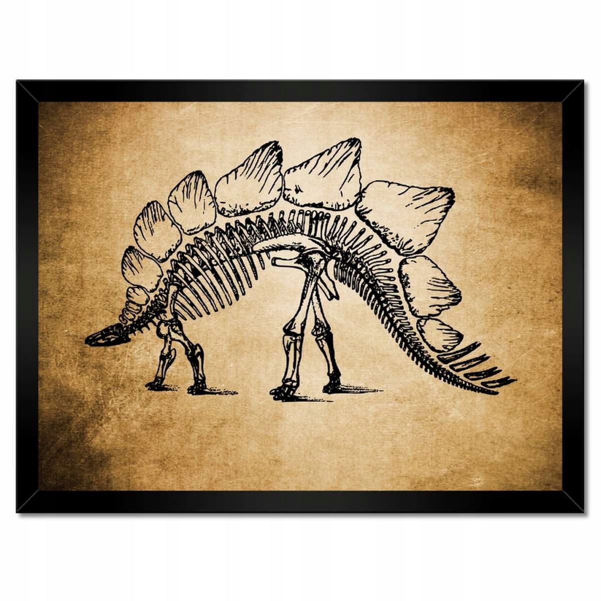 Plakáty v rámu 40x30 Dinosaurus Prehistorie Dino
