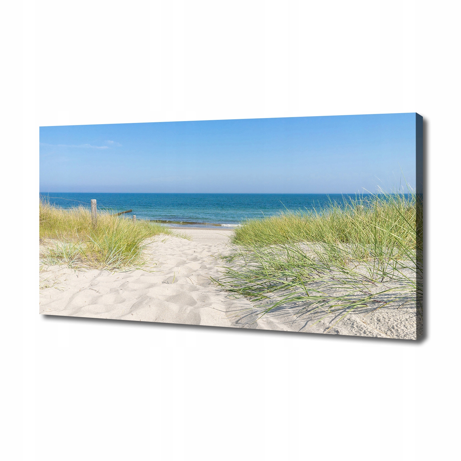 

Foto obraz na płótnie Nadmorskie wydmy 140x70 cm