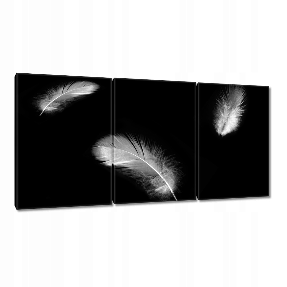 

Obrazy 120x60 Delikatne piórko Puszek