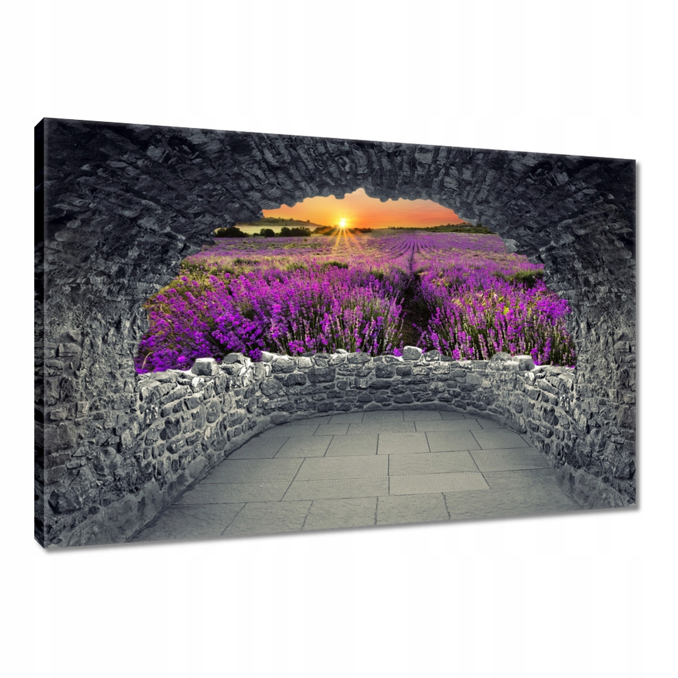 Obrazy 120x80 Pole levandule Západ