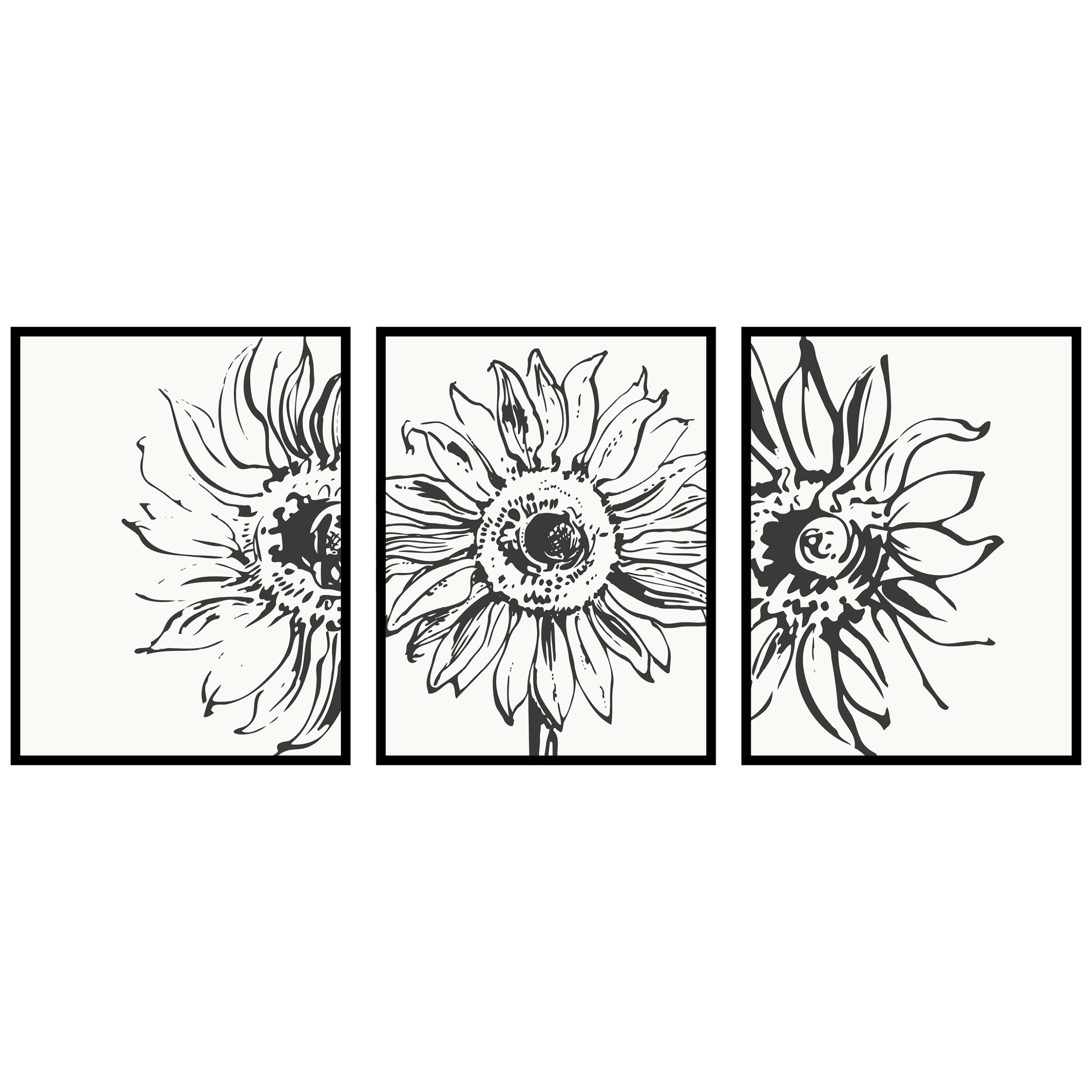 Plagáty triptych 3ks 60x90cm Grafika slnečnice náčrt kvety rastliny