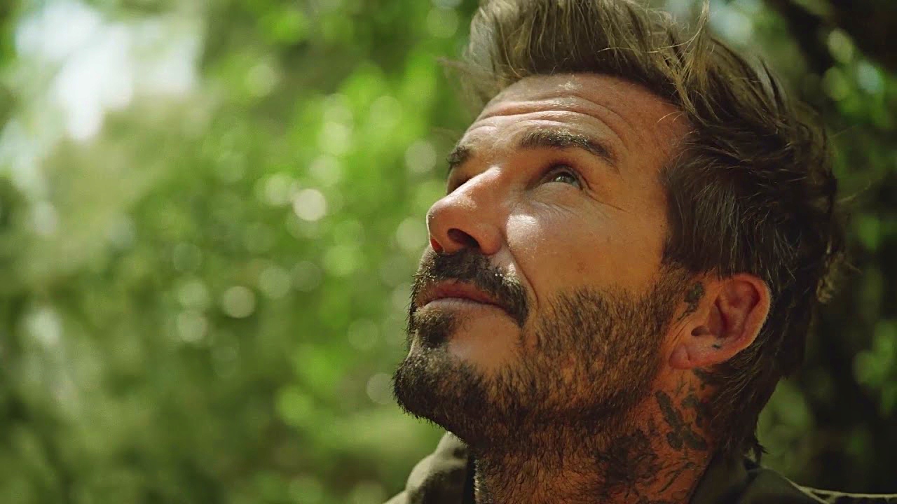 DAVID BECKHAM BOLD INSTINCT EDT 75ML ORYGINAŁ Grupa zapachowa inna