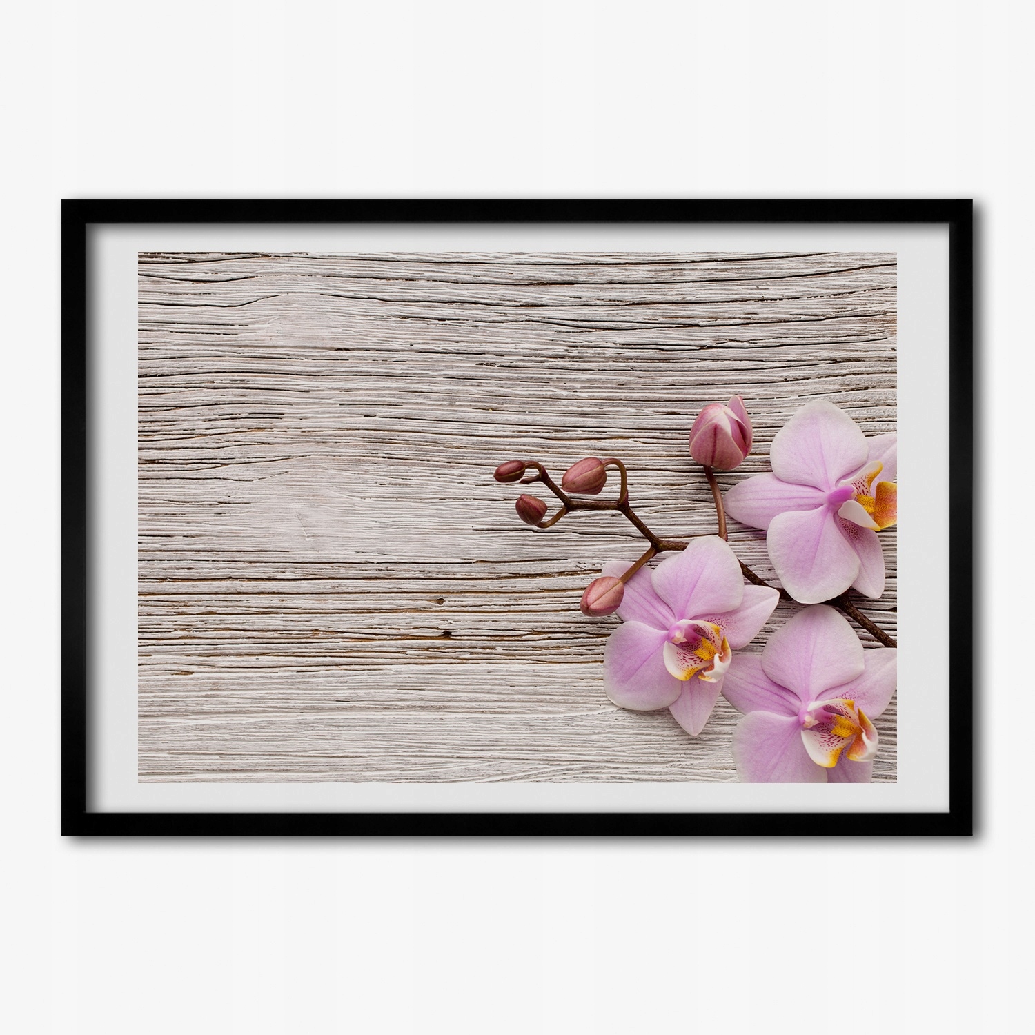 Fotoobraz s Mdf rámečkem Orchidej na dřevě 70x50