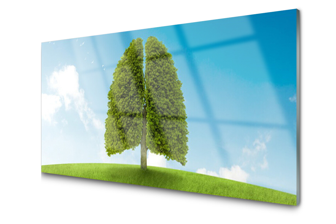 

Panel szklany Płytka Trawa Drzewo Natura 120x60