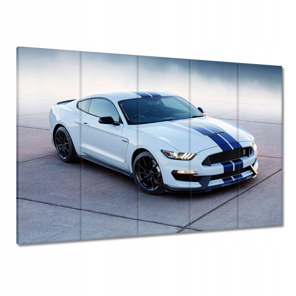 Obrazy 225x160 Ford Mustang Shelby