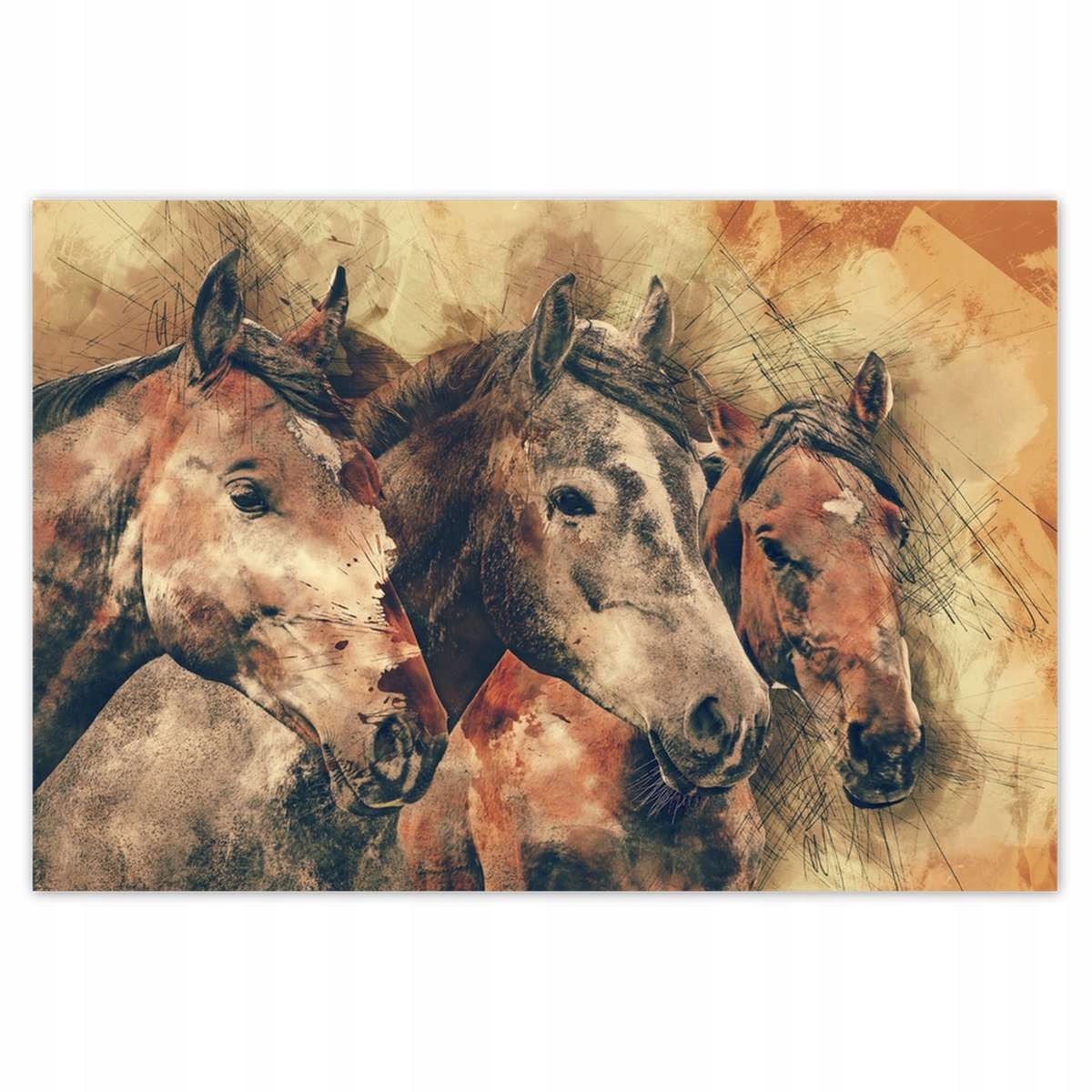 Plakáty 200x135 Hlavy koní