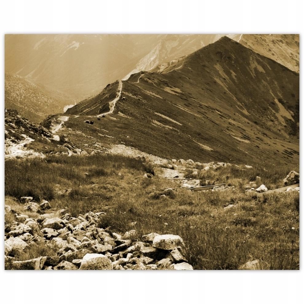 

Plakat 50x40 Tatry Polskie góry Widok