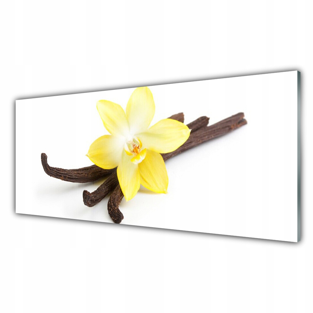 

Fotoobraz ścienny 125x50 Wanilia Roślina Przyroda