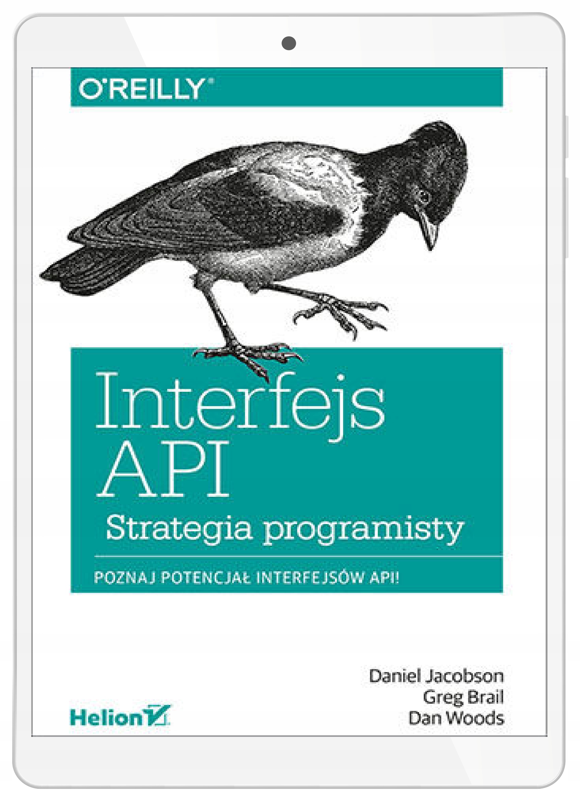 Interfejs API. Strategia programisty