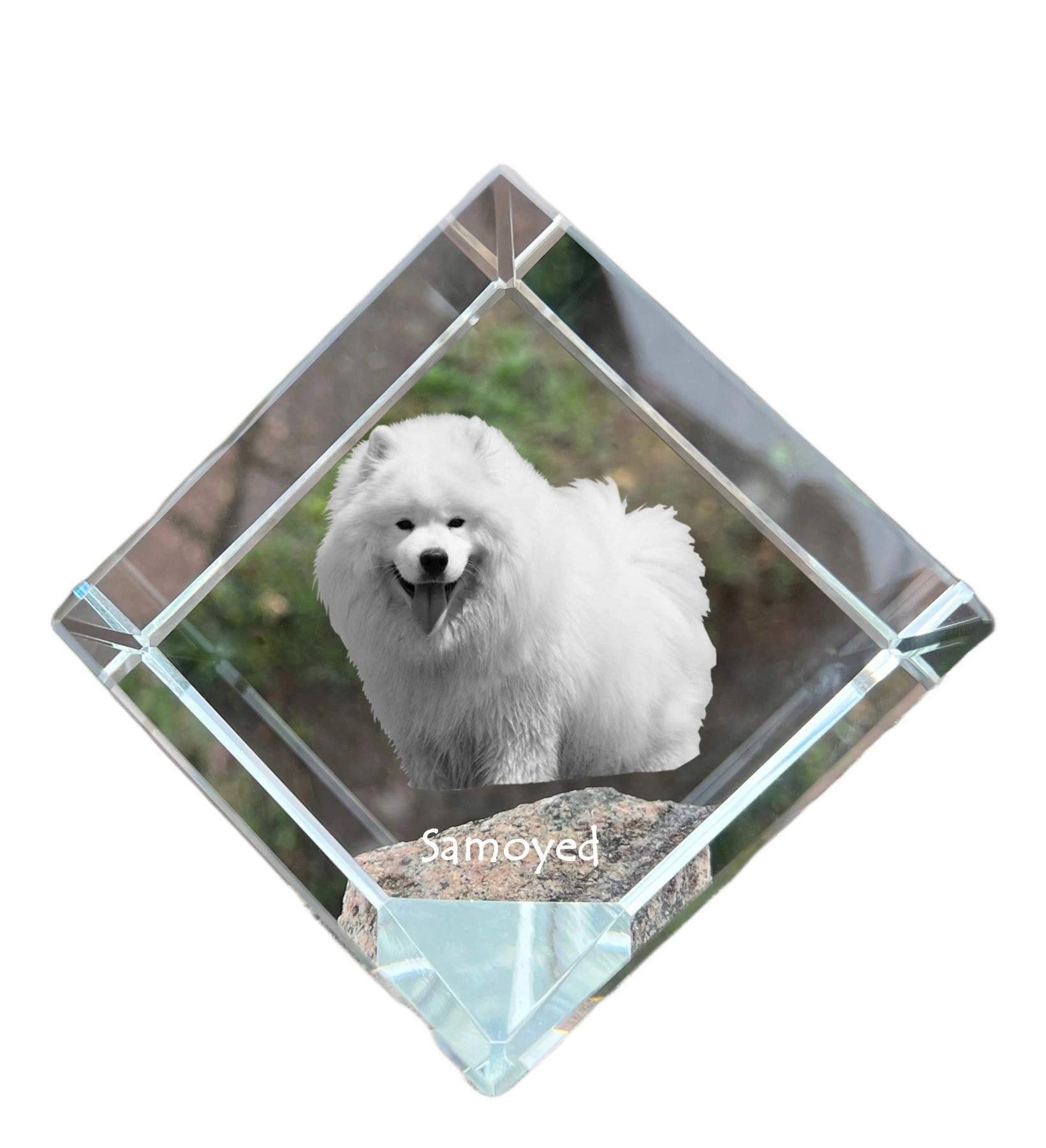 Samojed Samoyed krištáľová kocka s fotografiou psa, ozdoba na stôl