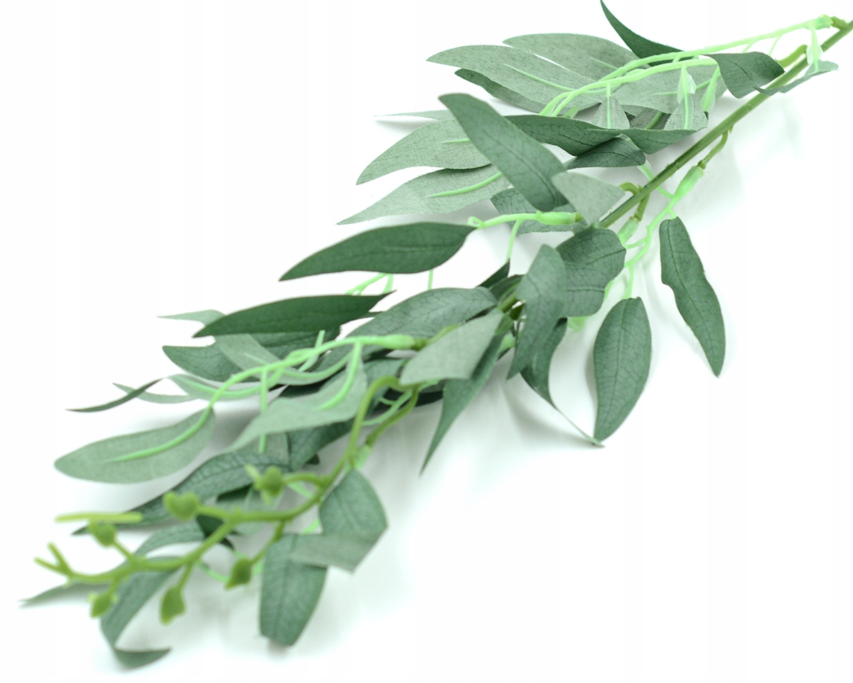 

Ruskus Zielony Gałązka Sztuczna Listki Do Bukietu