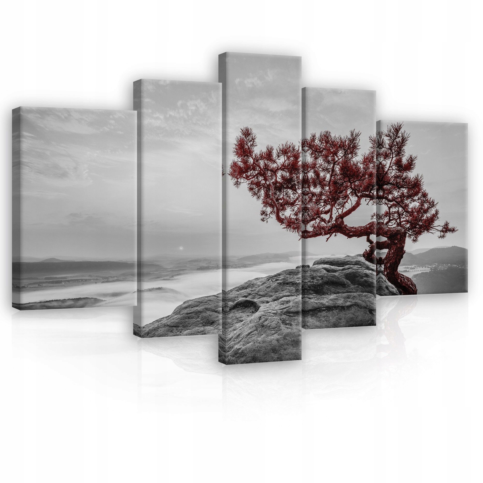 Obraz 170x100 Osamelý strom skala hmla údolie príroda pokoj mystika