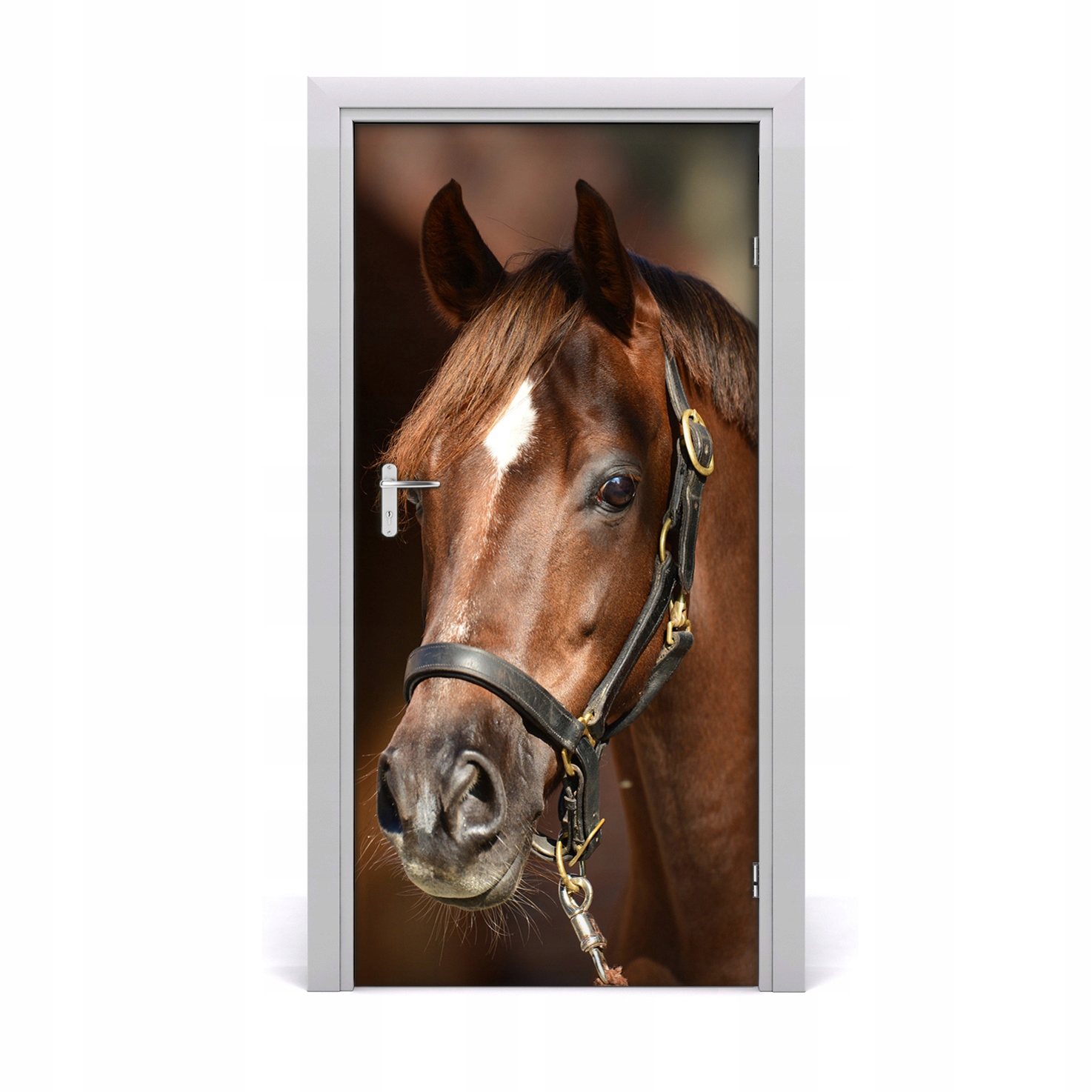 

Naklejka samoprzylepna na drzwi Portret konia