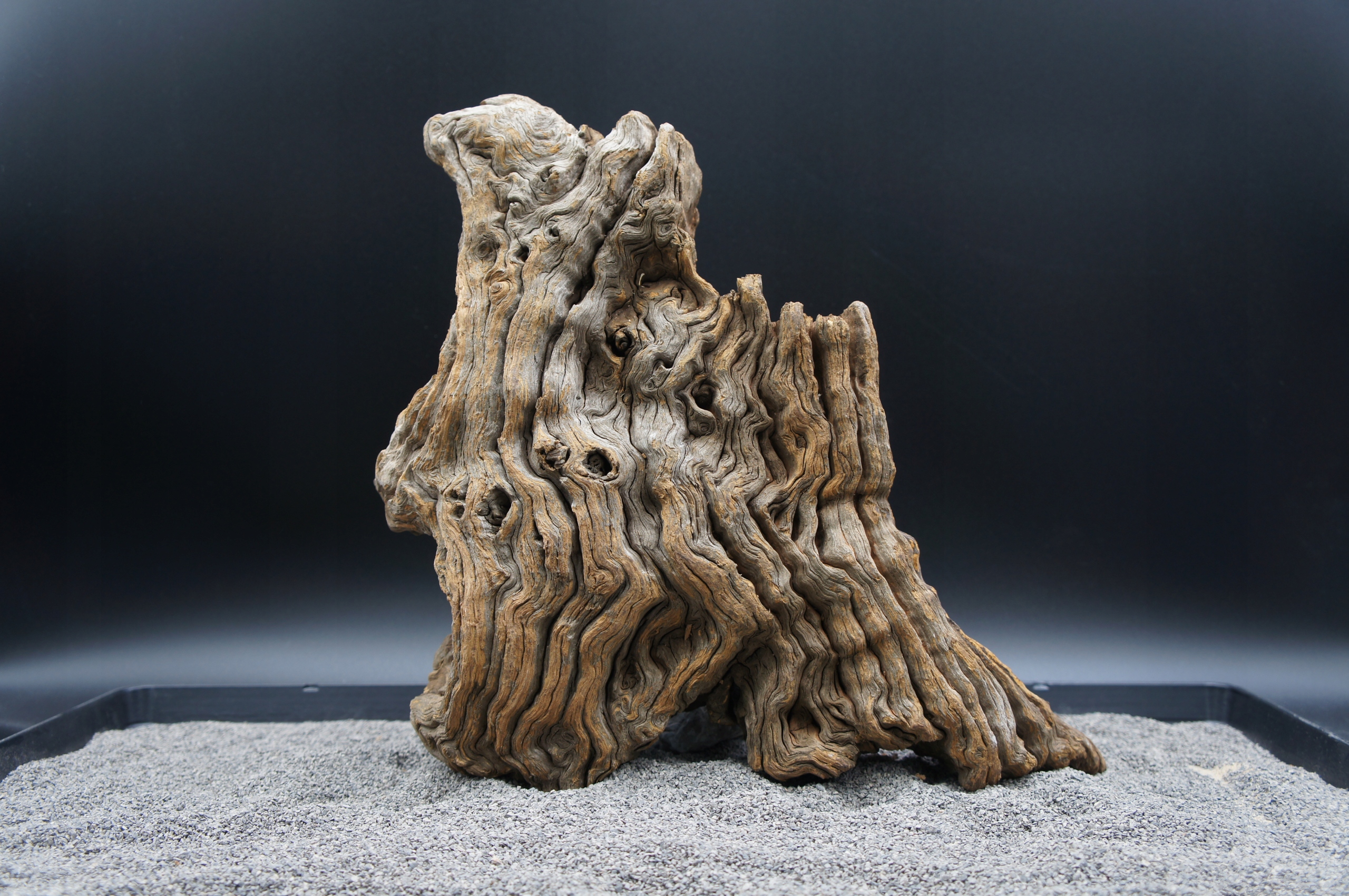 Levně Kořen pro terarijní akvárium jagged wood 32 cm Ten, Který Je Na Fotografii (J36)