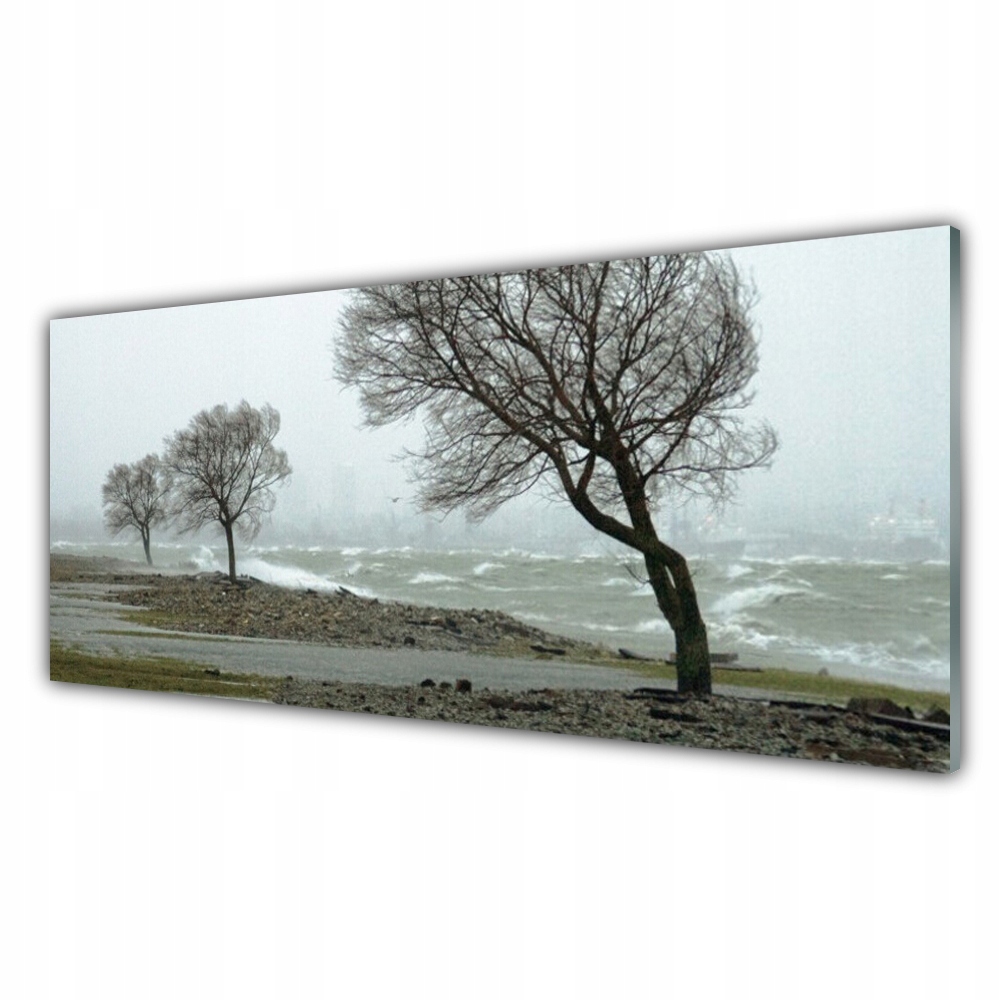 

Obraz akrylowy nowoczesny 125x50 Morze Sztorm Fale
