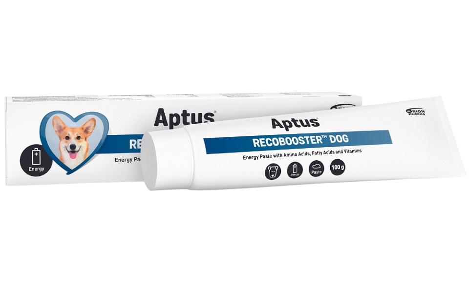 Aptus RECOBOOSTER Dog 100g