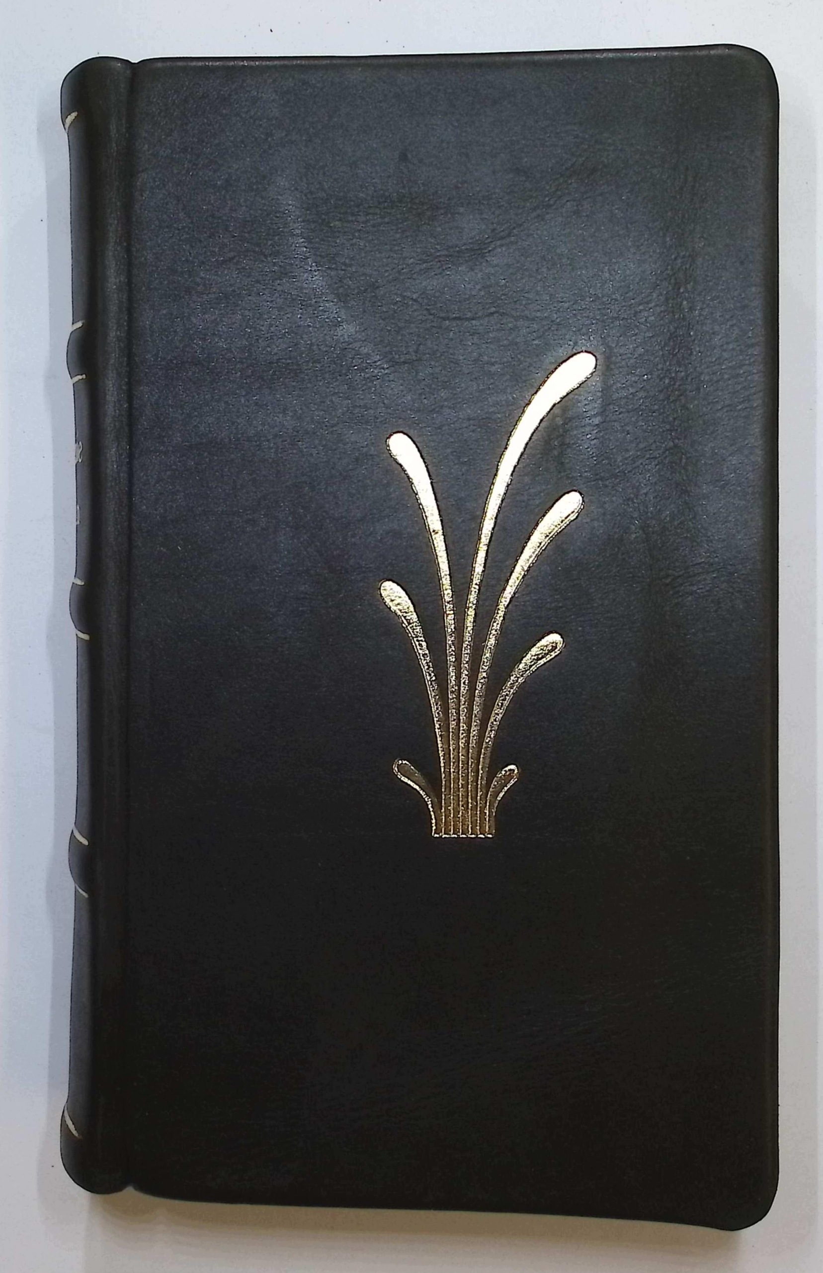 Opisanie roślin w Litwie, na Wołyniu, Podolu i Ukrainie (1830) - Jundziłło