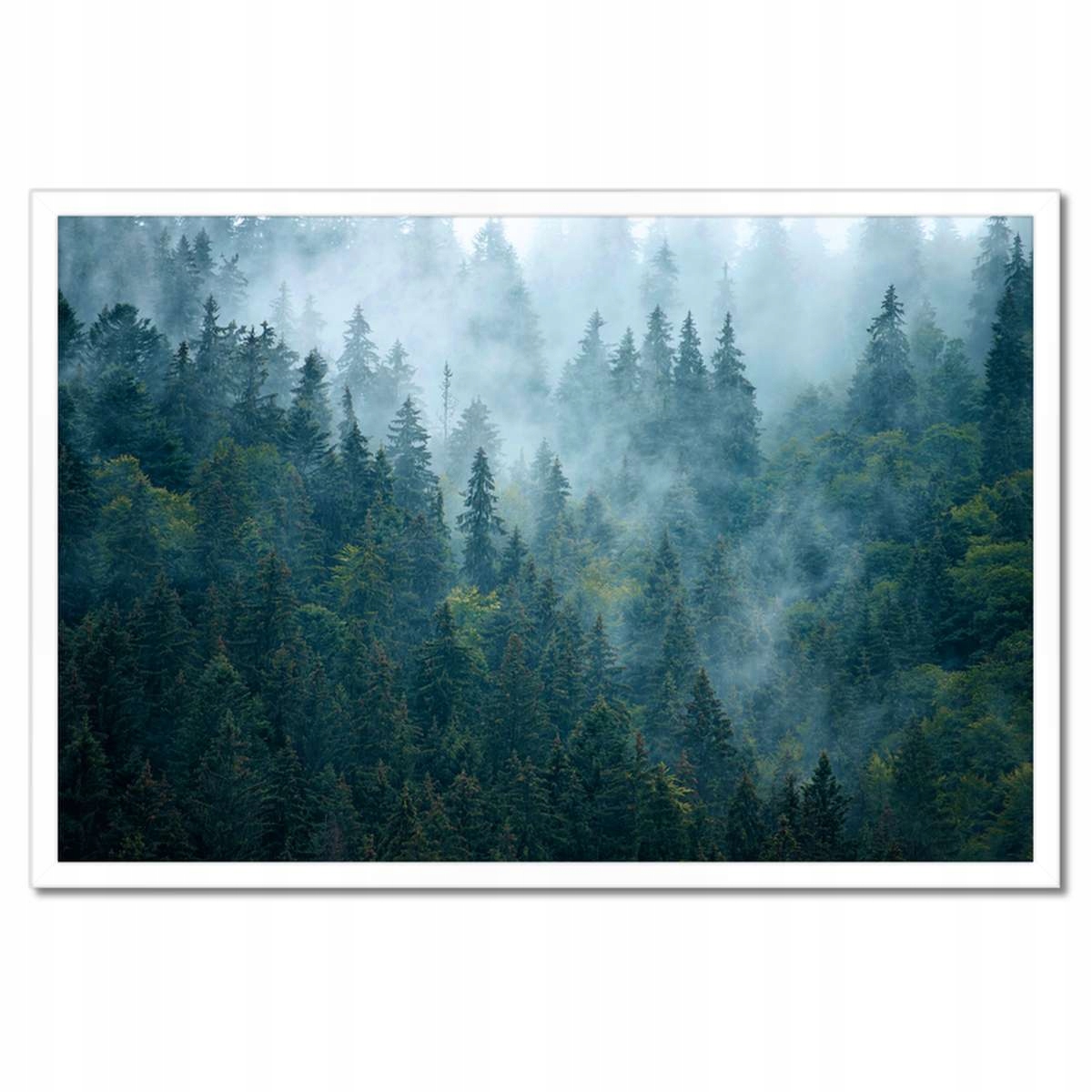 Plakáty v rámu 60x40 Les v mlze Cestování