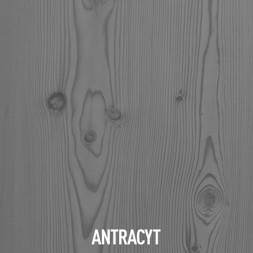 ALTAX Lakierobejca do Wnętrz 0,25l ANTRACYT EAN (GTIN) 5900172961237