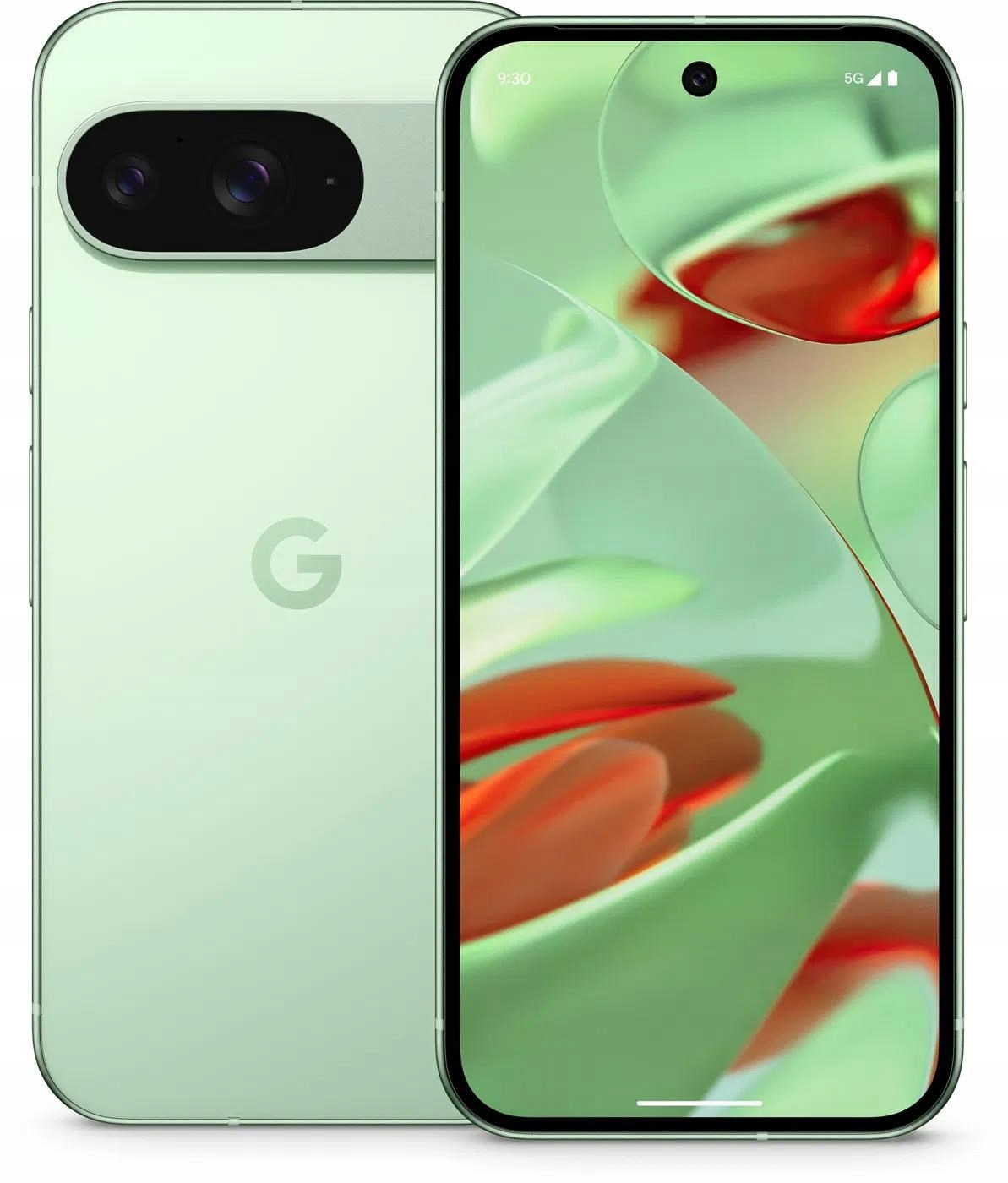 Google Pixel 9 256GB Wintergreen, Eu GA05844-GB