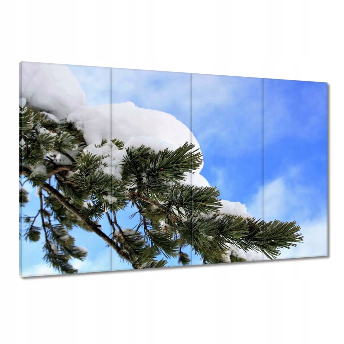 Obrazy 120x80 Sněhová větvička