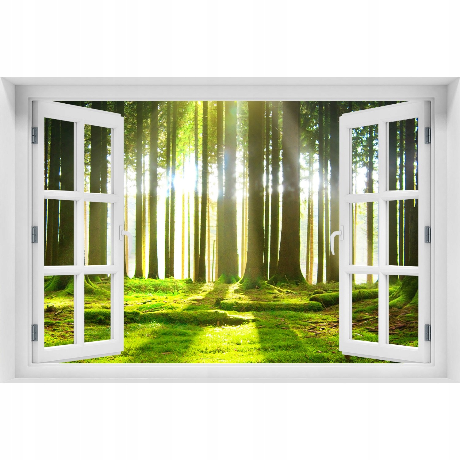 

Naklejka Fototapeta Okno widok Las w słońcu 120x80