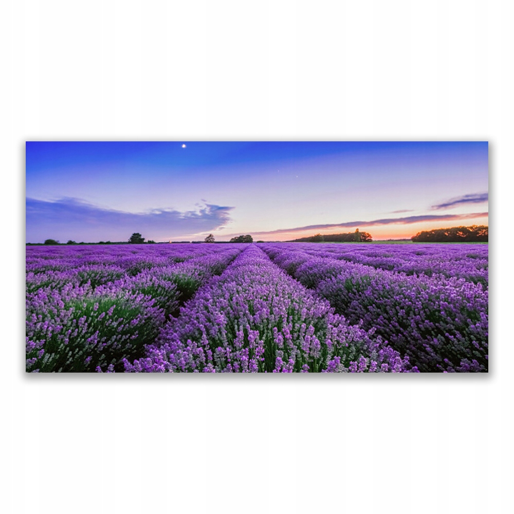 

Fotoobraz akryl 120x60 Łąka Kwiaty Natura Roślina