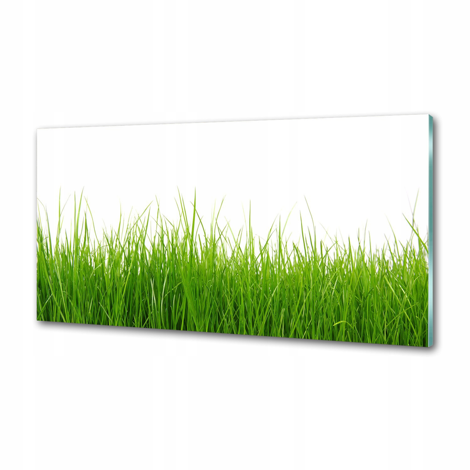 Skleněný panel do kuchyně Tráva 100 x 50 cm Lepidlo