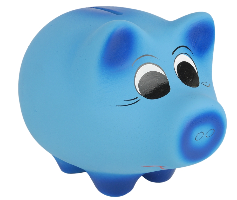 

Skarbonka Świnka Dekoracyjna Ceramiczna Blue