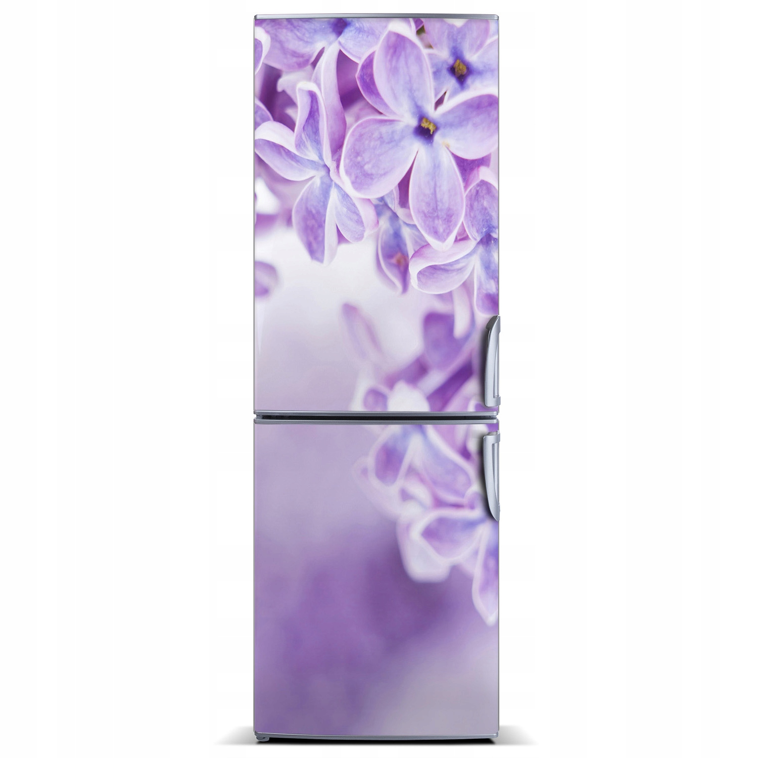 

Naklejka magnetyczna Magnes Kwiaty bzu 60x180