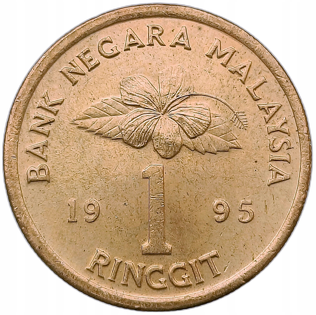 MALEZJA 1 RINGGIT 1995 SZTYLET - GRUBA 42C4