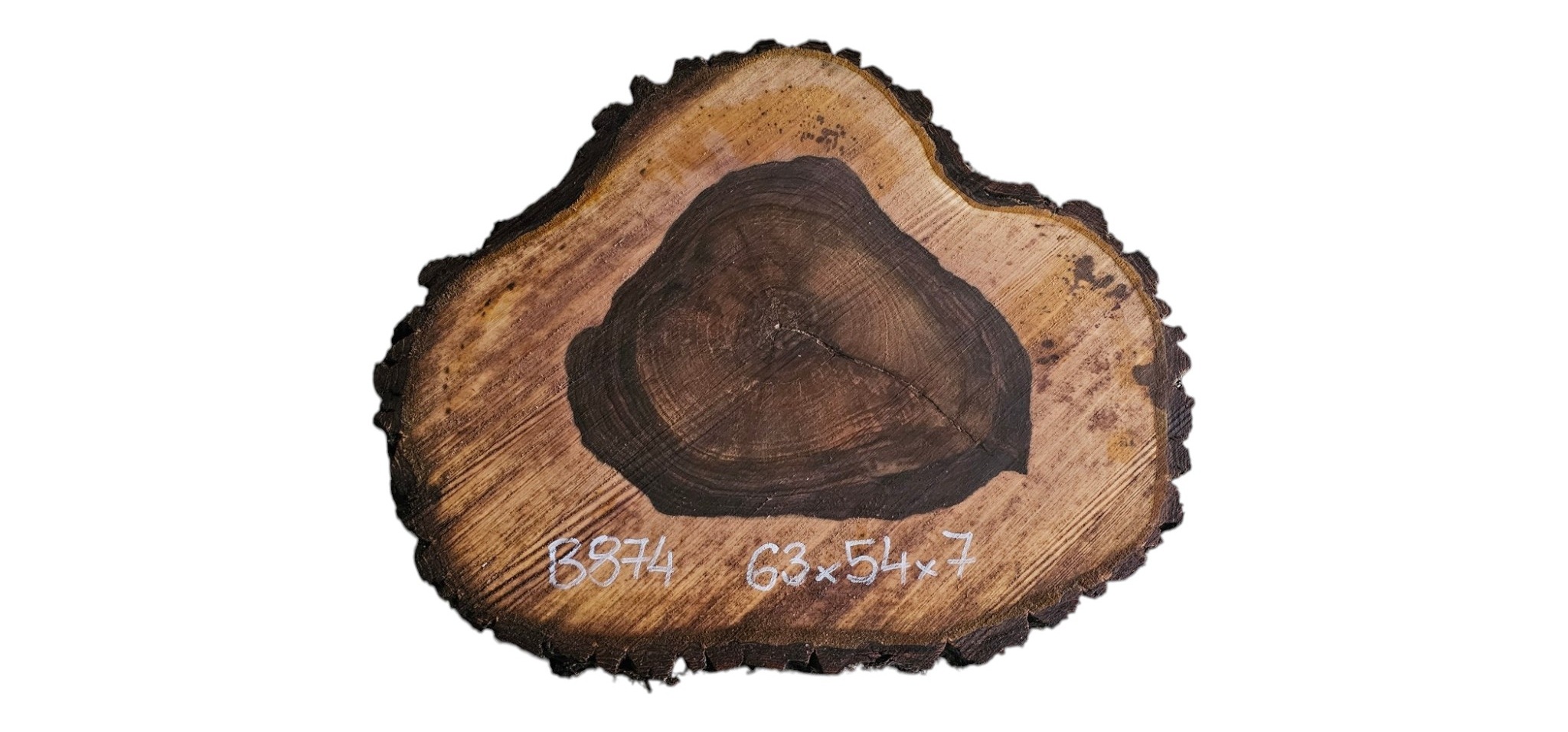 Plaster Drewna Orzech Włoski 63x54x7cm Blat Stolik Kawowy