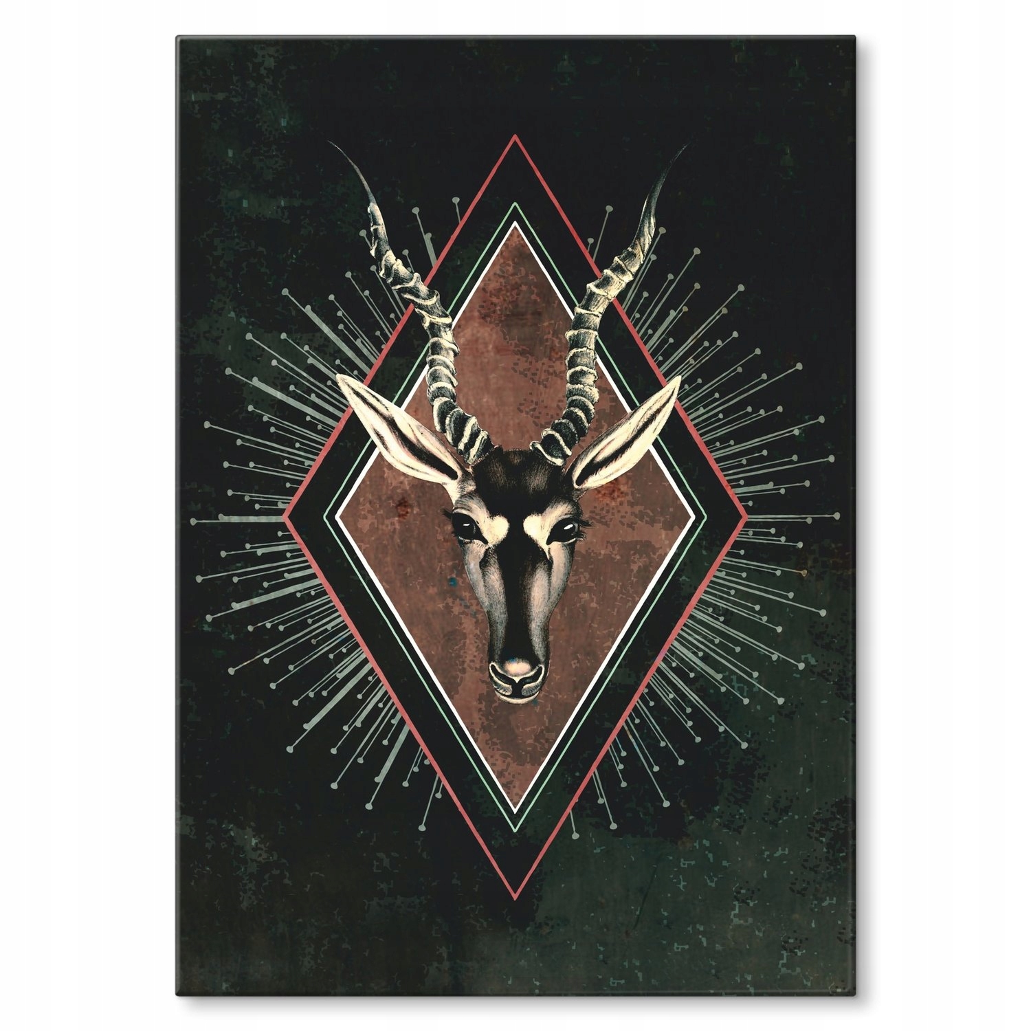 Kovový plakát Divoká příroda Dárek 42 x 59 cm