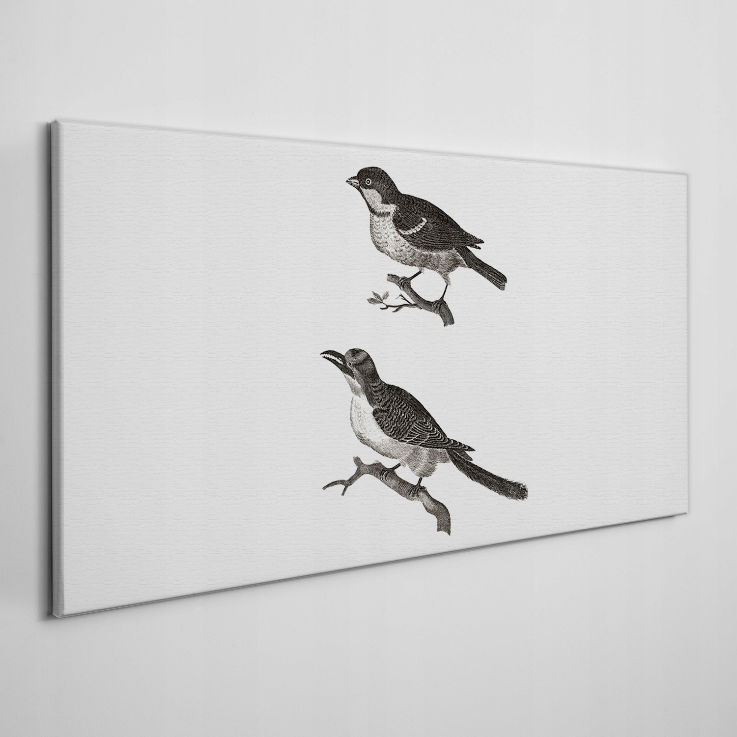 

Obraz na ramie płótno Zwierzę ptak gałąź 140x70 cm