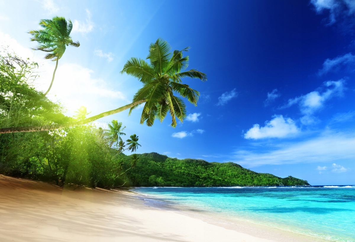 

Tapeta Flizelinowa Plaża na Seszelach - 104x70