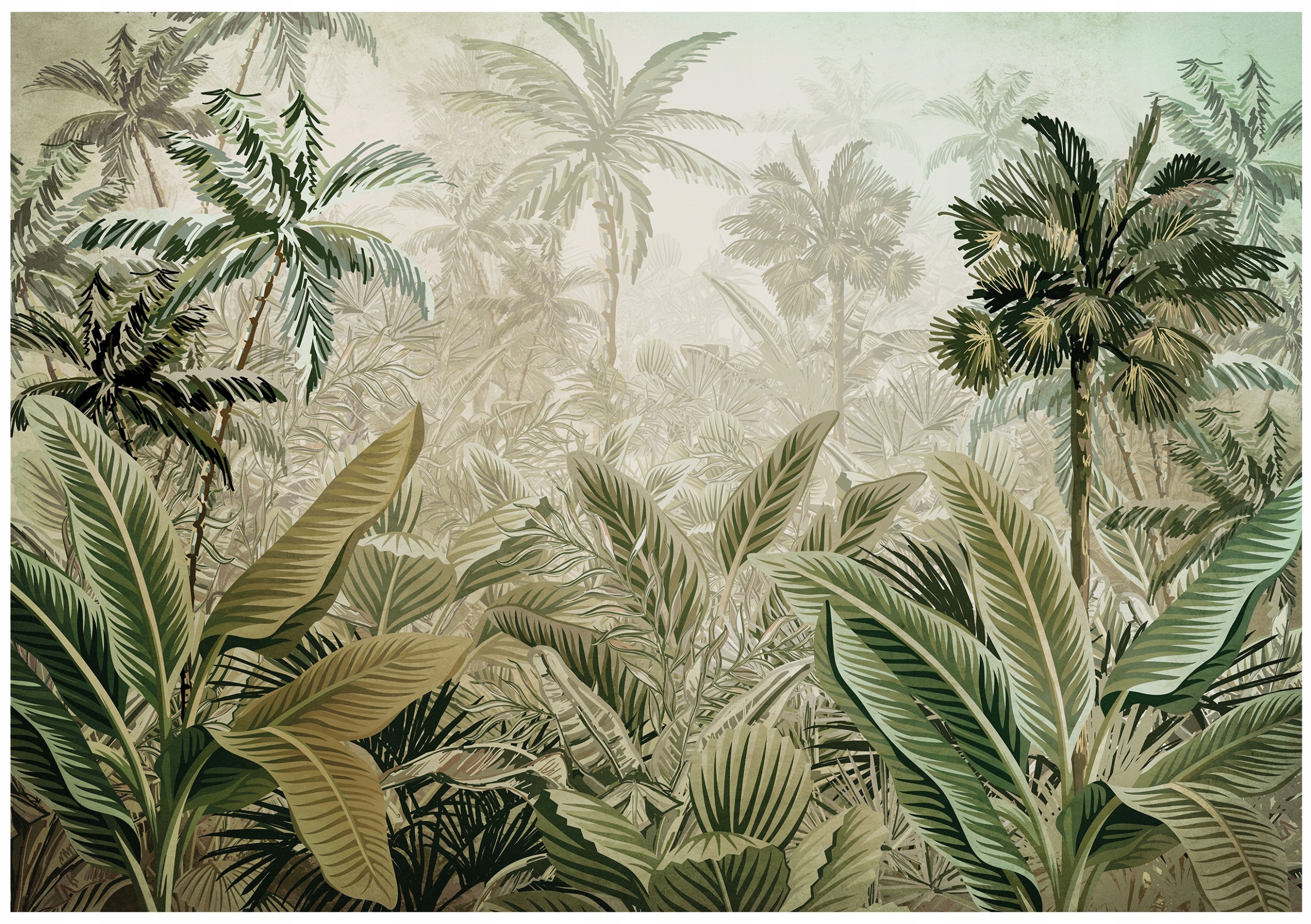 Fototapeta Dżungla Słoneczna 3D Amazonia Las Tropikalny Liście 368x254-Zdjęcie-0
