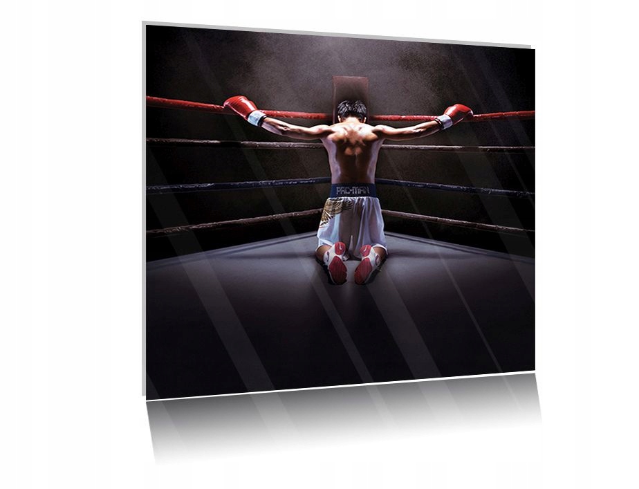 

Obraz szklany na szkle Boks 05 30x30