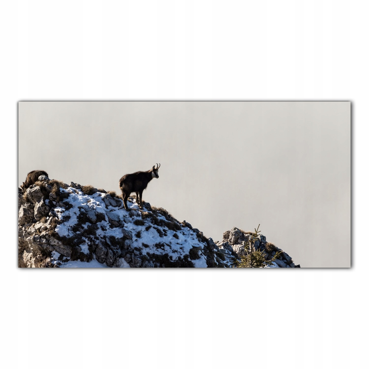 Koza Hory Natura 140x70 Tvrzené sklo do kuchyně