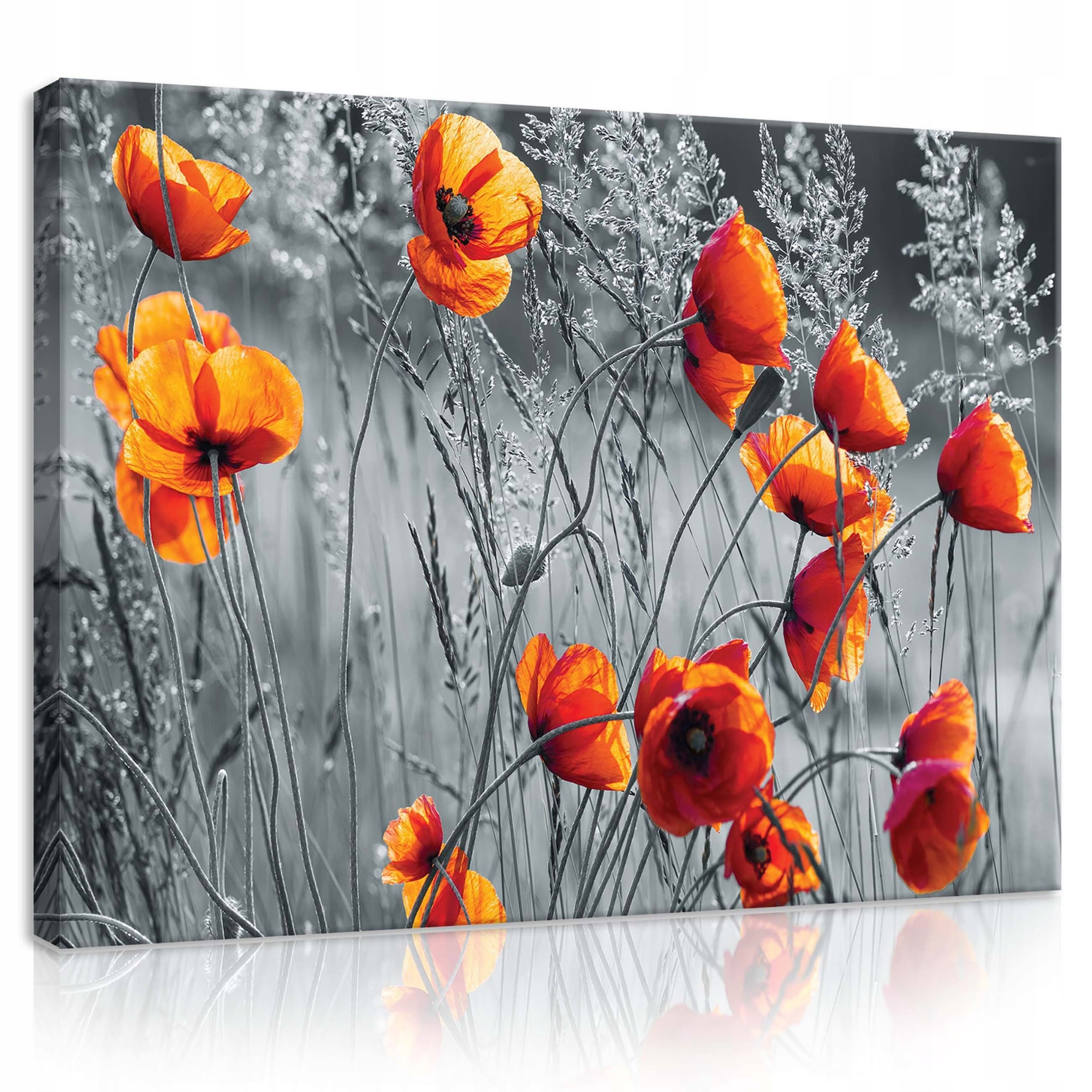 Obraz 80x60 Maki červený oranžový květy pole léto příroda klid