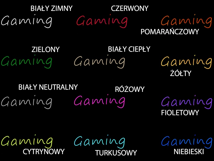 NGAMING530 NAPIS Gaming PC4 NEON LED 530X165MM EAN (GTIN) 123456789012