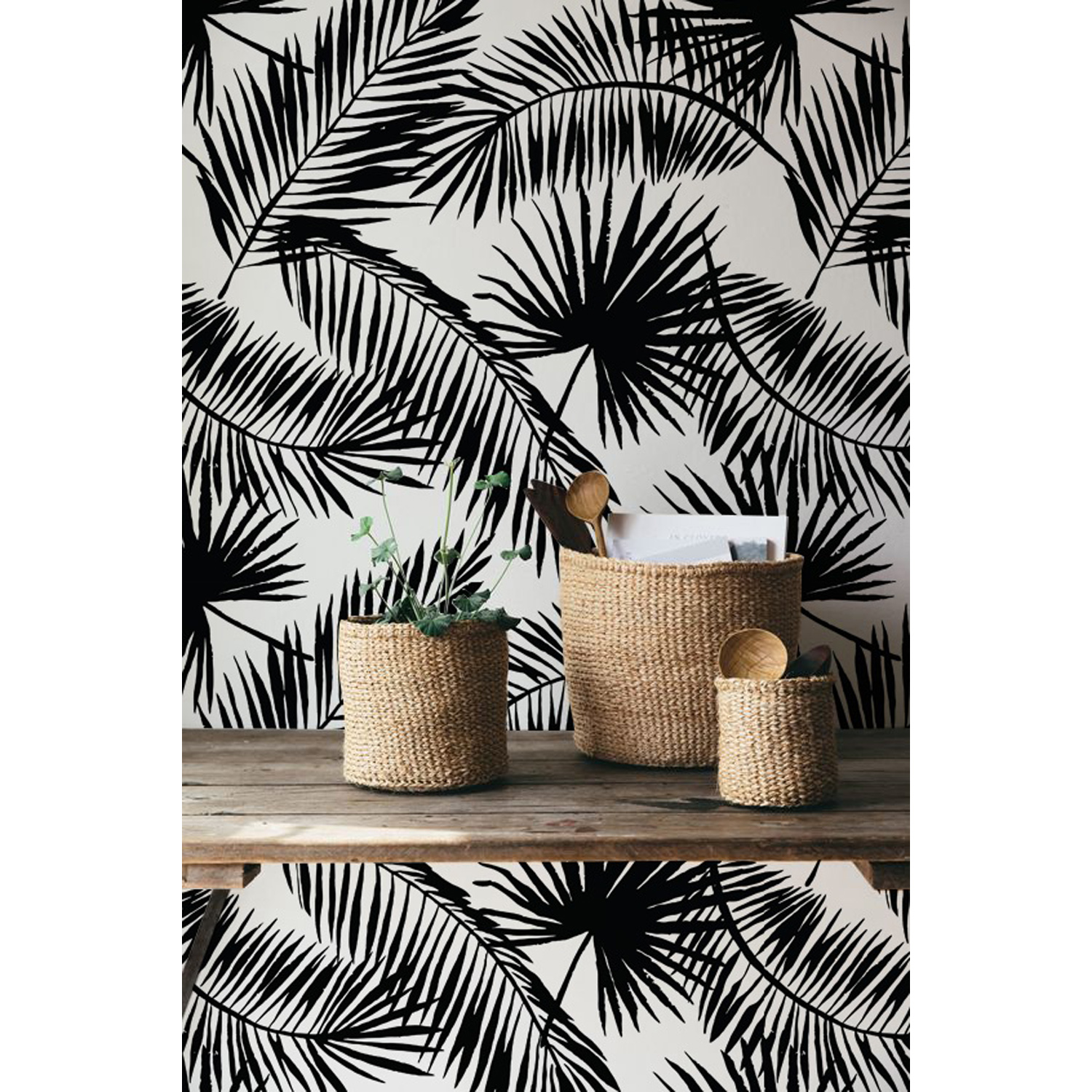 

Fototapeta Minimalistyczne liście palmowe 360x250