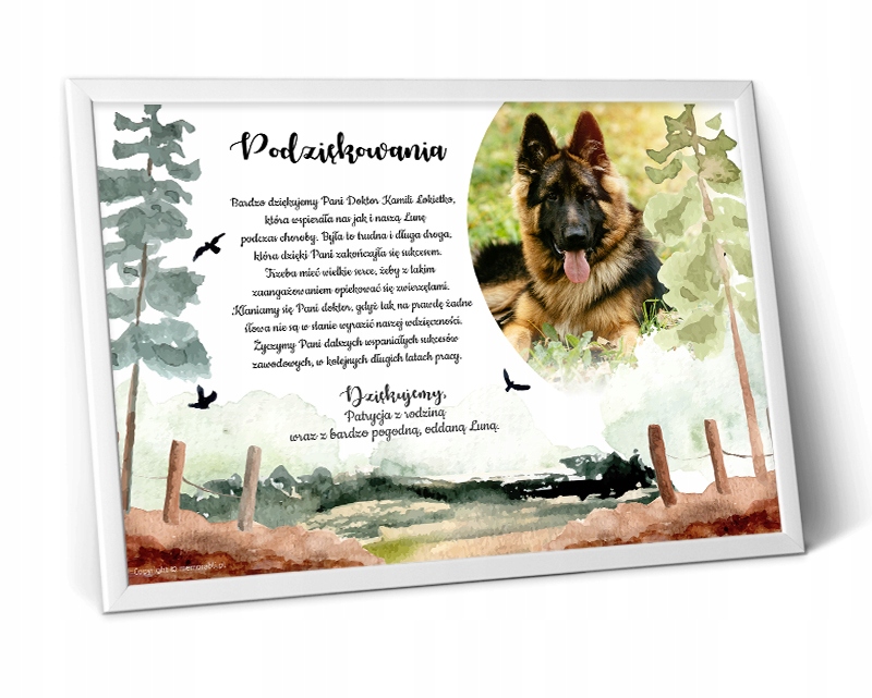 

Plakat podziękowanie dla Weterynarza lekarza ramka