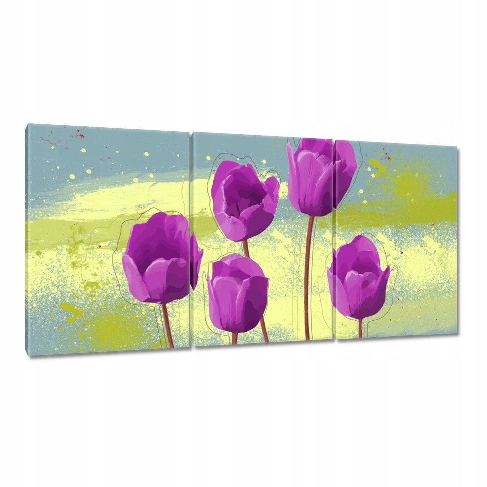 

Obrazy 120x60 Fioletowe maki
