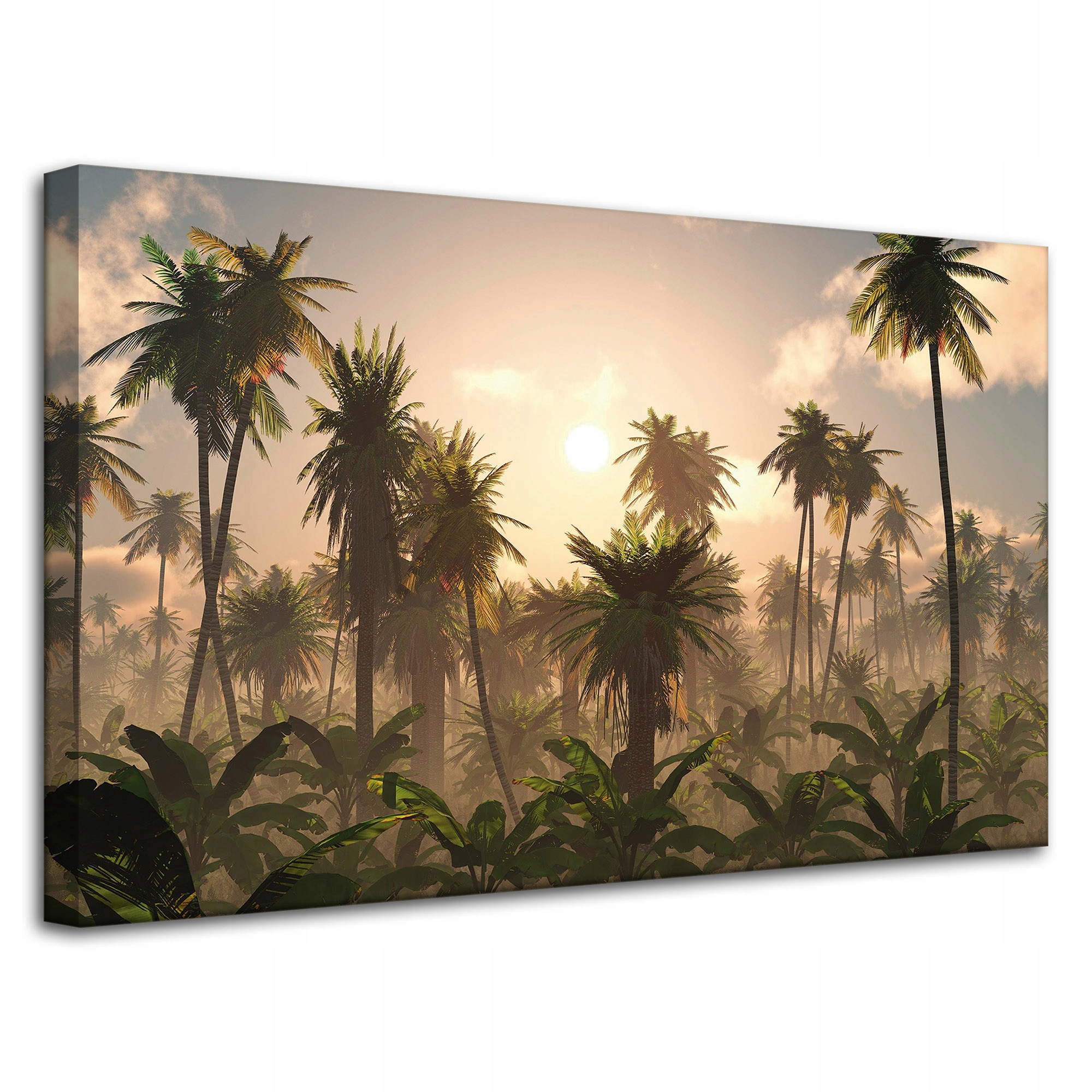Obraz na plátně Západ slunce Palmy Příroda 80x50 cm