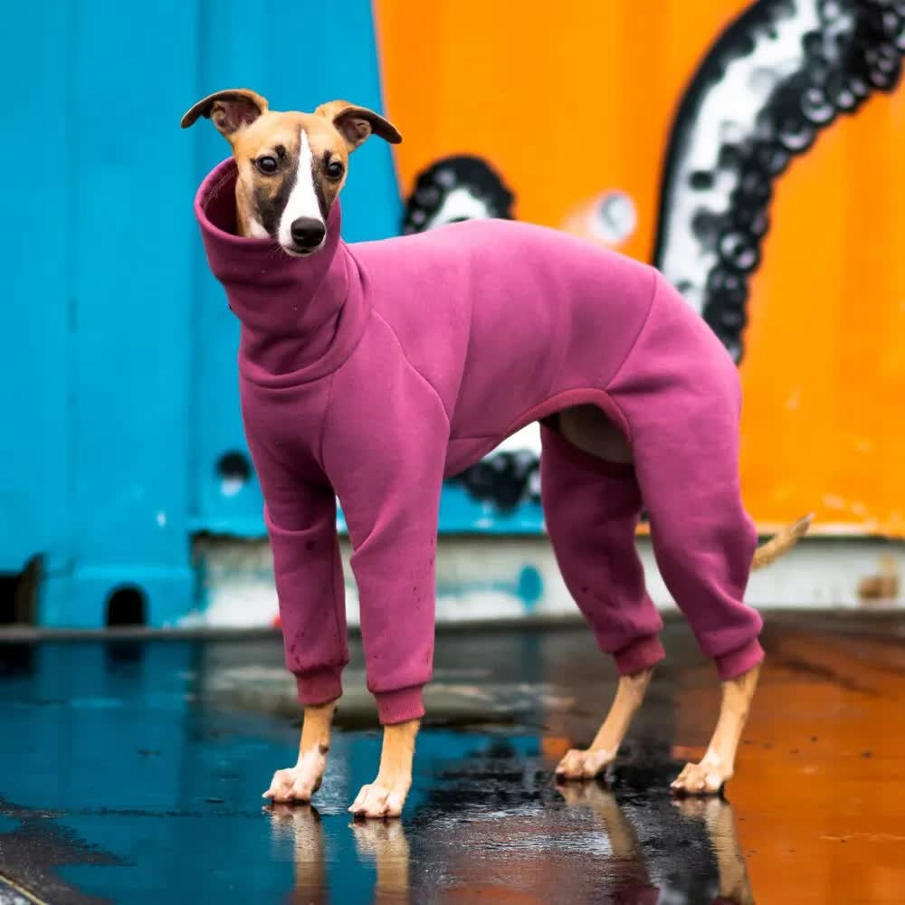 Oblečení pro Whippeta Kombinéza Basic