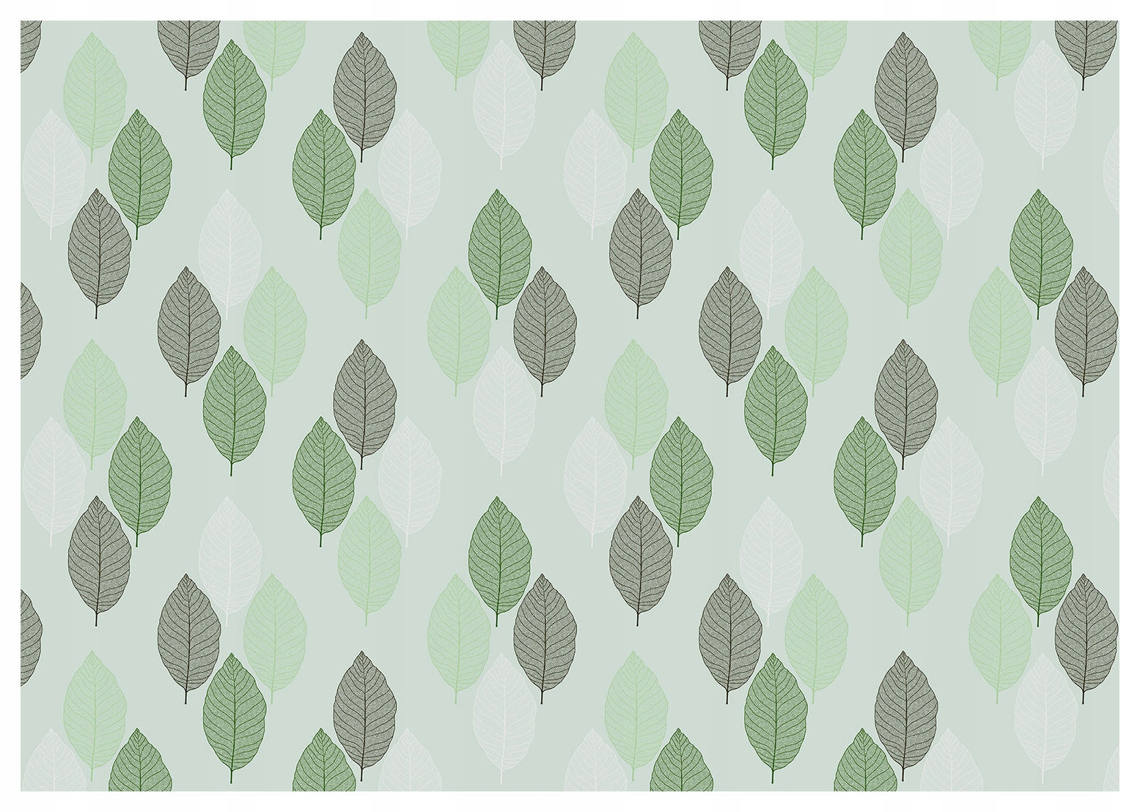 Fototapeta Listy Vzor přírody minimalismus zeleň a šedé barvy 350x250 lepidlo